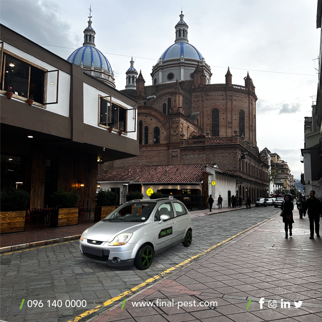 Nueva oficina en Cuenca 